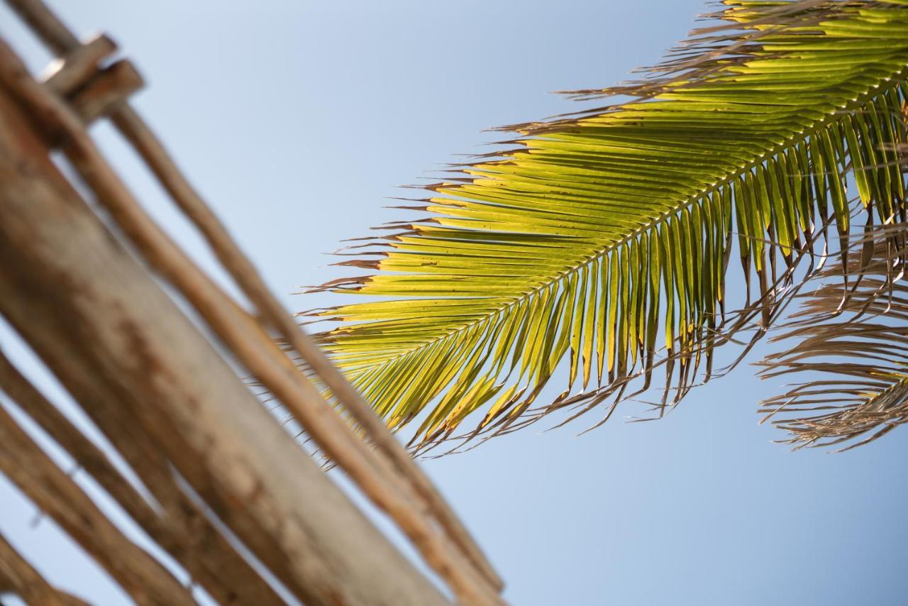 Casa Hayhu Hotel Mahahual Bagian luar foto