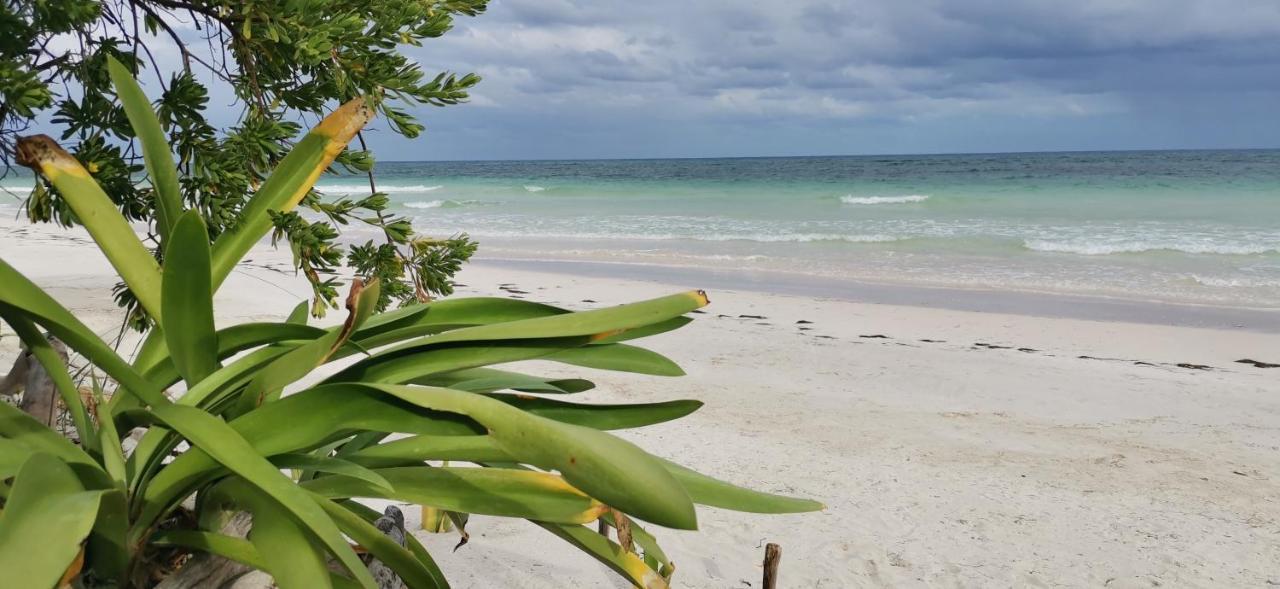Casa Hayhu Hotel Mahahual Bagian luar foto